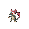 rattata-alola