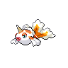 goldeen