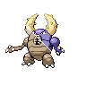 pinsir