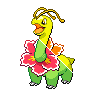 meganium