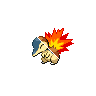 cyndaquil