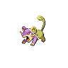 rattata