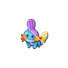 mudkip