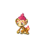 chimchar