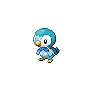 piplup