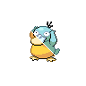 psyduck