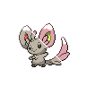 minccino