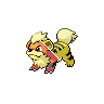 growlithe