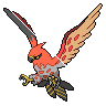 talonflame