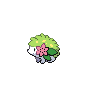 shaymin-land