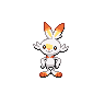 scorbunny